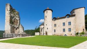 an old castle with a green lawn in front of it at maison d'hôtes in Rouffiac