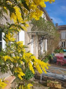 a tree with yellow flowers in front of a building at Gîte à la campagne "Le Luquet" in Chazelles