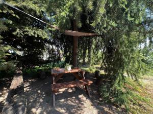 a picnic table under a tree in a park at Gocce balsamiche in Ravarino