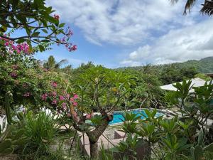 a resort with a swimming pool and trees and flowers at Lombok Coconut Hotel in Mangsit
