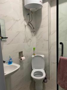 a bathroom with a toilet and a sink at studio in Itʼkhvisi +6 photos