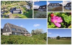 a group of four pictures of houses and flowers at Vleijenhof Type C in Buren