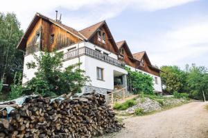 a house with a pile of fire wood in front of it at Equus Silvania in Şinca Nouă