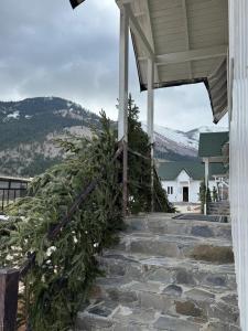 a house with christmas trees on the side of it at Koçeku Brothers Guest House in Fushë-Lurë