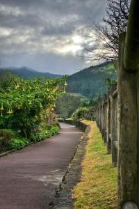 an empty road with a fence on the side at Casa Veleiro SHALOM in Ponta Delgada