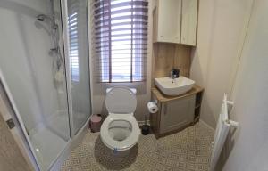 a bathroom with a toilet and a sink and a shower at Thurston Manor Holiday Park - Woodlands 1 in Innerwick +18 photos