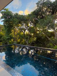 a swimming pool with trees in the background at Tabu in La Digue