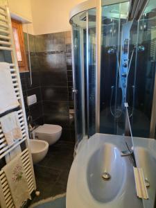 a bathroom with a sink and a shower and a toilet at Casa Castellina in Bettolle +7 photos