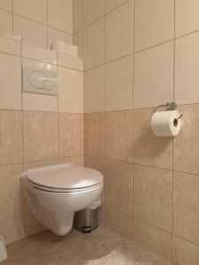 a bathroom with a toilet and a roll of toilet paper at Penzion YORK in Liberec +48 photos
