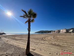 a palm tree on a sandy beach with the ocean at El Embarcadero in Oropesa del Mar