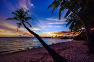 two palm trees on a beach at sunset at Studio luxo Periperi in Salvador