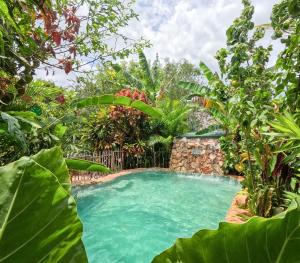 a pool in a garden with green plants at GuaiGüí Bayahibe in Bayahibe