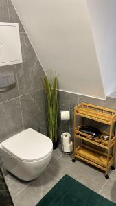 a bathroom with a white toilet and a plant at Apartament w Centrum - Parking in Ostrów Wielkopolski +12 photos