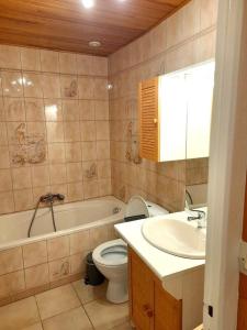 a bathroom with a tub and a toilet and a sink at La madeleine in Malandry