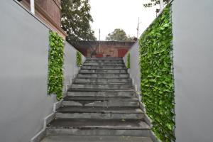 a stairway leading up to a building with green ivy at Dawntown Boutique Guest House in Yerevan