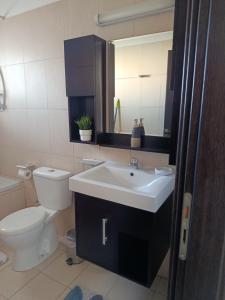 a bathroom with a sink and a toilet and a mirror at corali in Tersephanou +77 photos