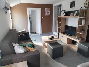 a living room with a couch and a tv at Margit Haus in Stara Moravica