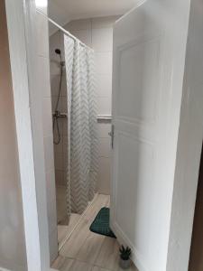 a bathroom with a shower and a white door at Margit Haus in Stara Moravica +12 photos