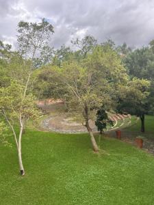 two trees in a field of green grass at Willows Boutique Hotel in Pretoria