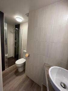 a bathroom with a toilet and a sink and a shower at Le Chalet in Les Deux Alpes