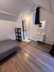 a bedroom with a bed and a bathroom with a mirror at Maison T2 in Bonny-sur-Loire