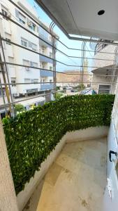a green hedge on the side of a building at Appartements Luxe Simo in Fez