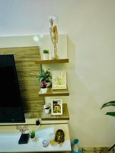 a living room with a tv and shelves with plants at Polo Apartments Lekki in Lekki +8 photos