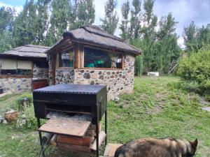 a grill in a yard next to a stone building at B&B Dormis de montaña Memé in Potrerillos +2 photos