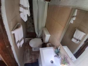 a small bathroom with a toilet and a sink at B&B Dormis de montaña Memé in Potrerillos