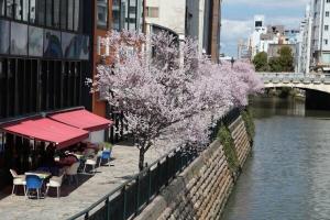 a tree with purple flowers next to a river at Hotel Sakura Riverside in Nagoya