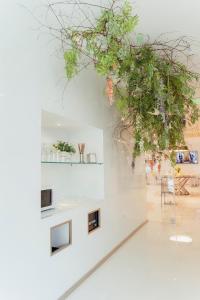 a large plant hanging from the ceiling of a room at Hotel Costa Verde in Póvoa de Varzim