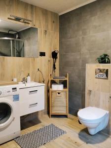 a bathroom with a washing machine and a toilet at Domek Sielski Zakątek Pieniny in Szczawnica +75 photos