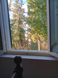ein Fenster mit Blick auf einen Baum in der Unterkunft Villinolapieve in Castelfiorentino