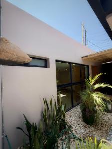 a white house with plants in front of it at "Casa Mosso" en San Felipe del Agua in Oaxaca City