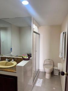 a bathroom with a sink and a toilet and a mirror at Hotel arimaca in Ríohacha