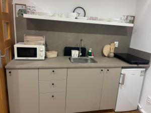 a kitchen counter with a microwave and a sink at Apartment Ela Centre in Košice