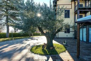 a tree sitting in the middle of a driveway at Villa Fefa by MMega in Tolentino