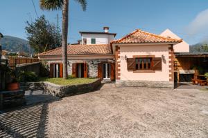 a house with a palm tree in front of it at Casa do Faial in Santana
