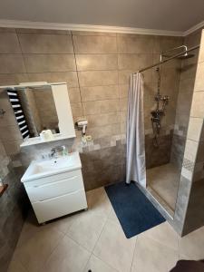 a bathroom with a shower and a sink and a mirror at Gray house in Yaremche