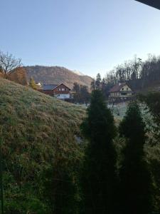 two christmas trees on a grassy hill with houses at Apartments AlpRoza in Zgornje Gorje