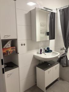 a white bathroom with a sink and a mirror at Henneberger Hof Wildlife in Münnerstadt +37 photos