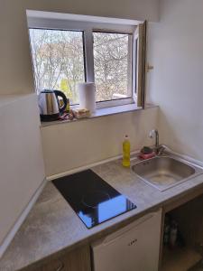 a small kitchen with a sink and a window at City Centre Suits 3 in Varna City +2 photos