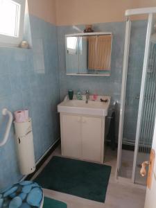 a small bathroom with a sink and a shower at Chambre et salon indépendants chez l'habitant in Pierre