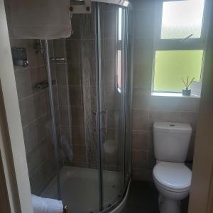 a bathroom with a shower and a toilet and a window at Eask View Dingle - Room Only in Dingle