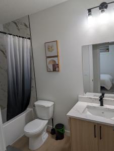 a bathroom with a toilet and a sink and a mirror at Granny's Hug, a cozy 2 Bedroom Basement Suite in Calgary