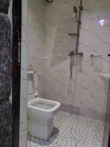 a bathroom with a toilet and a sink at Vingoze Apartments in Fatade +12 photos