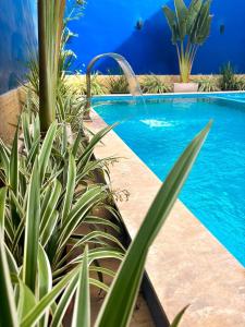 a swimming pool with plants and a fountain at Hotel Dunas e Lençóis in Barreirinhas +54 photos