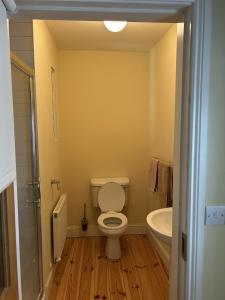 a bathroom with a toilet and a sink at Number 6 Bank House in Schull