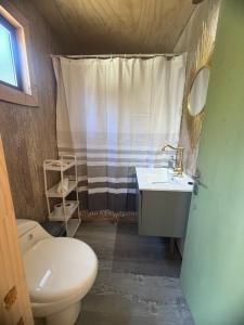 a small bathroom with a toilet and a sink at Tiny House A & M Chaiten in Chaitén +19 photos