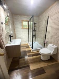 a bathroom with a toilet and a sink and a shower at Cabaña A & M in Chaitén +38 photos